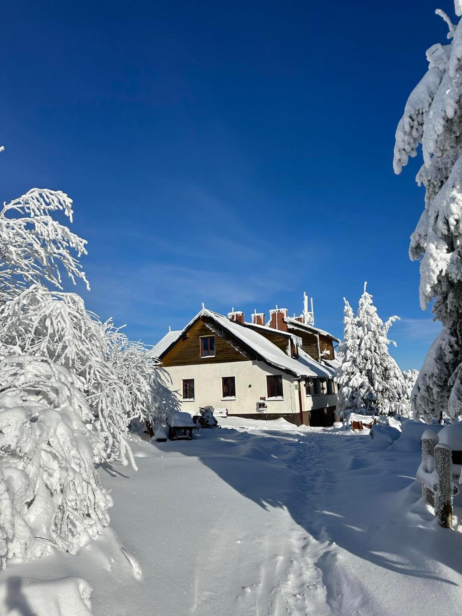 Apartman Diana Oscadnica Buitenkant foto